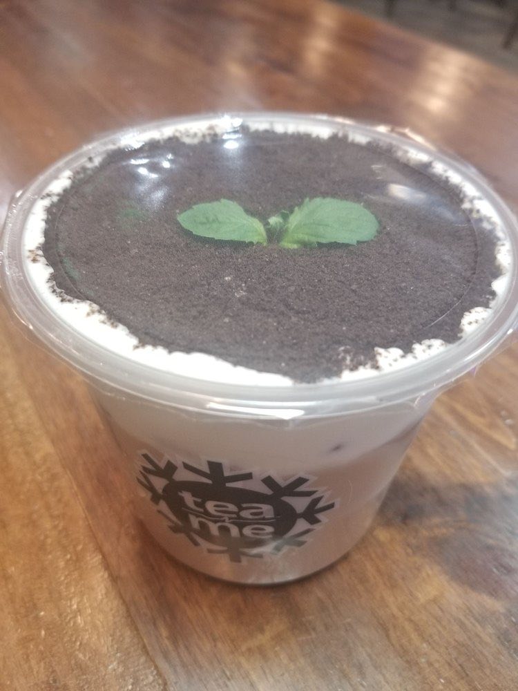 A drink topped with a thick layer of dark crumbs and a sprig of mint, on a wooden table.